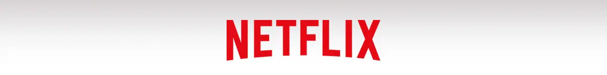 Netflix is an Example of a Digital Eco SYstem