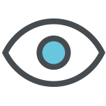 electronic witness for signers user guide