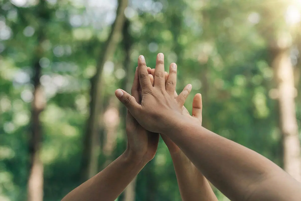 profm-group-reduce-carbon-footprint