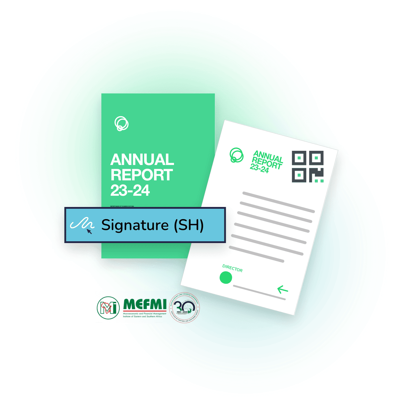 MEFMI Key Issues Addressed
