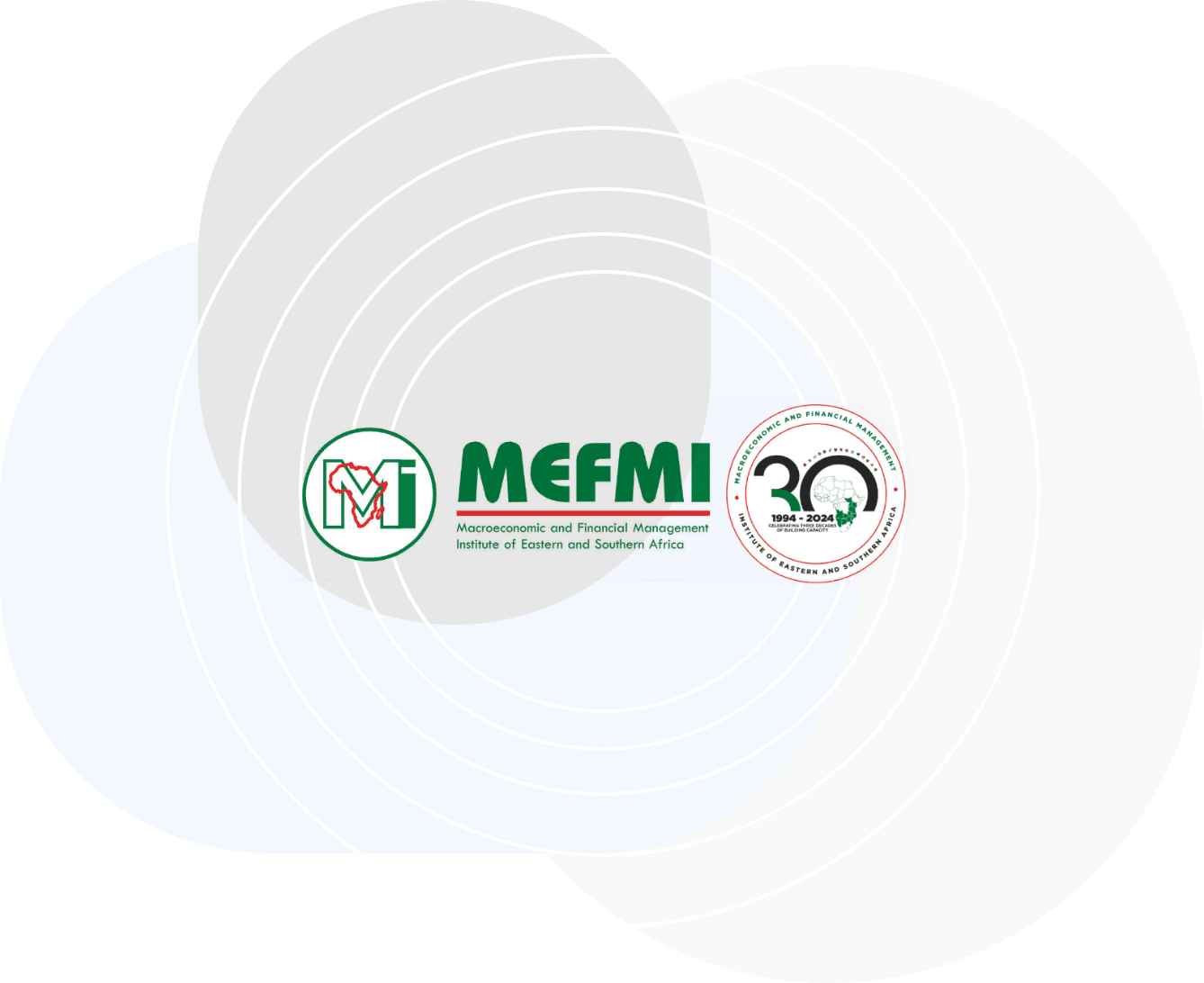 esign mefmi-case-study
