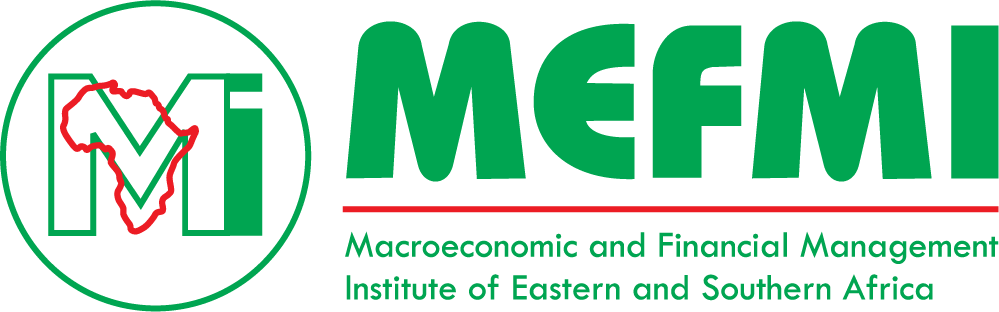 MEFMI Logo