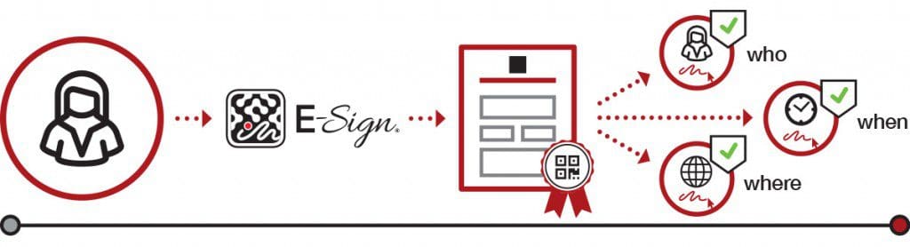 Document Authenticity and Traceability
