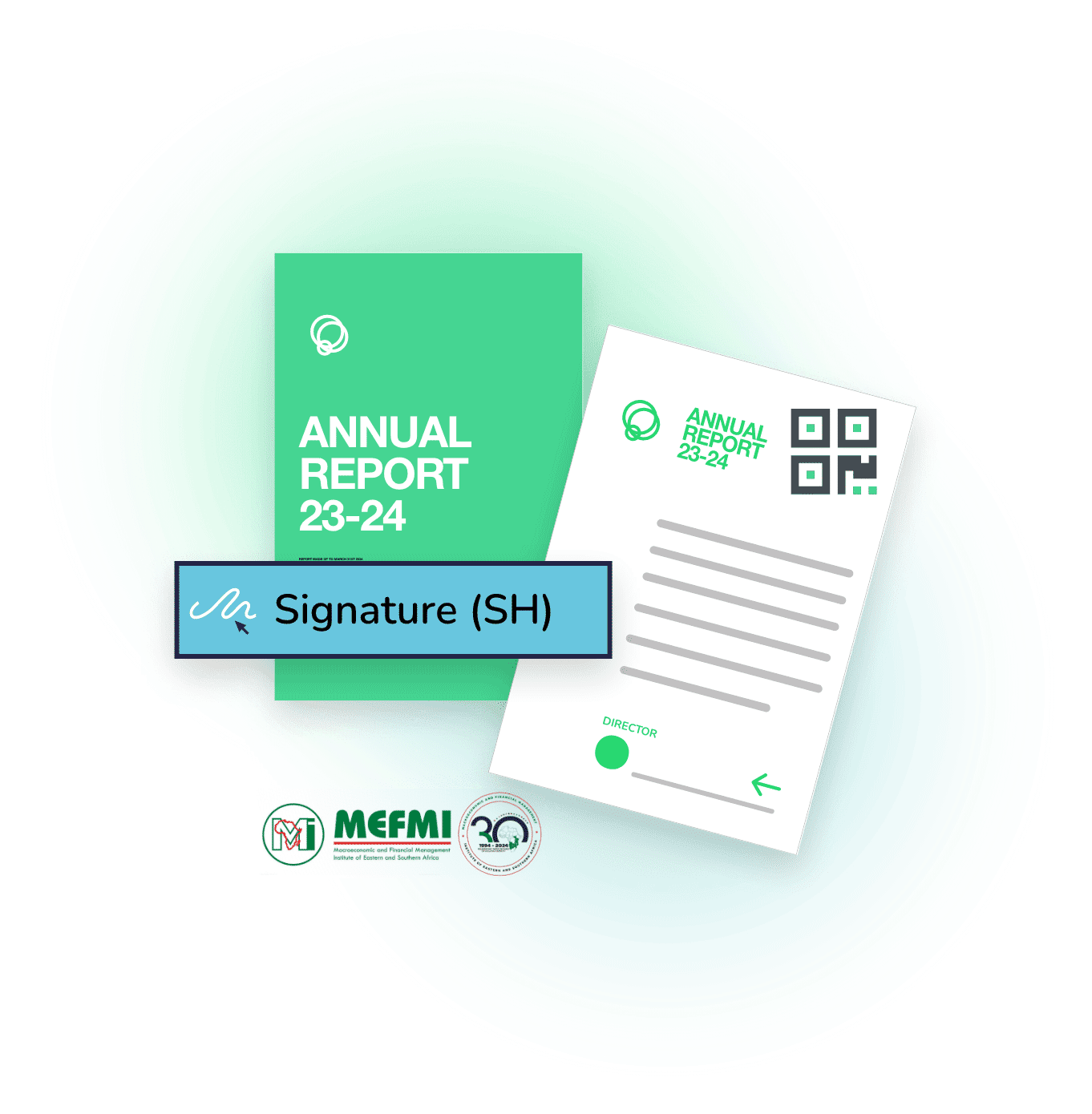 MEFMI Key Issues Addressed