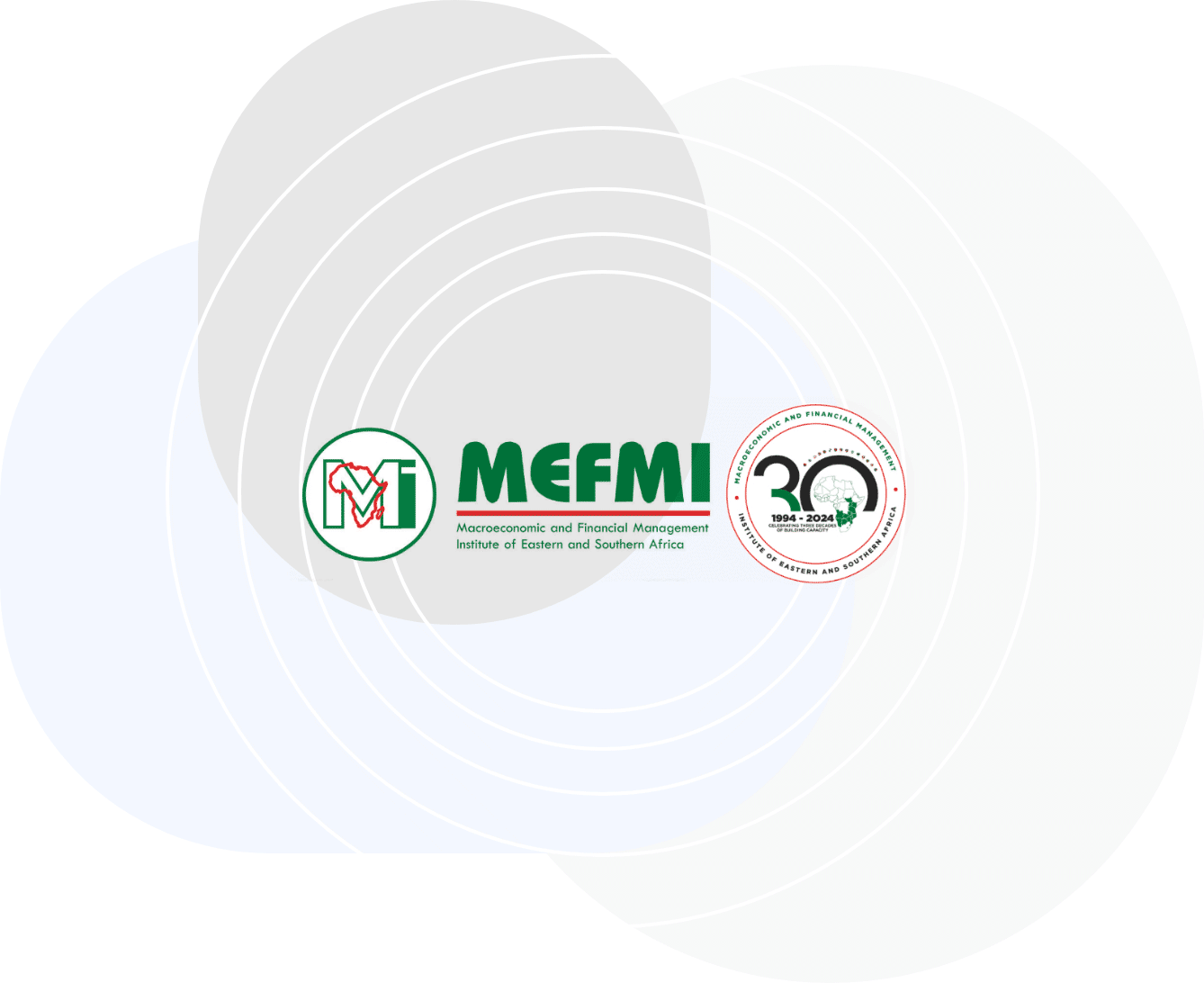 esign mefmi-case-study