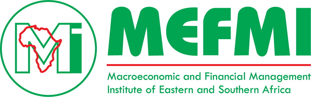 MEFMI Logo